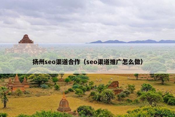 扬州seo渠道合作（seo渠道推广怎么做）