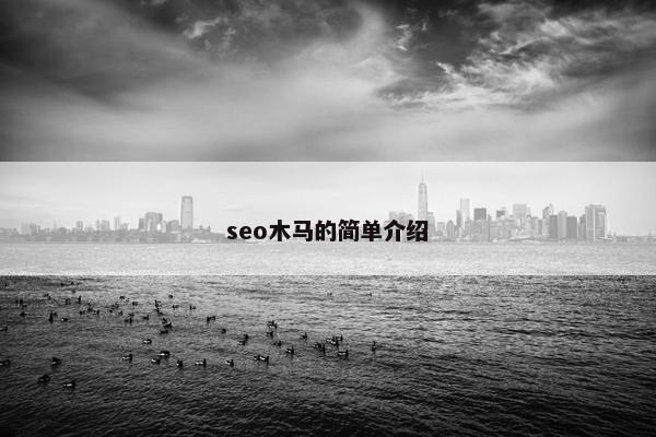 seo木马的简单介绍