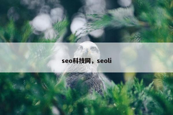 seo科技网，seoli