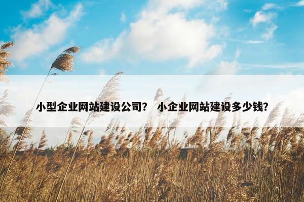 小型企业网站建设公司？ 小企业网站建设多少钱？