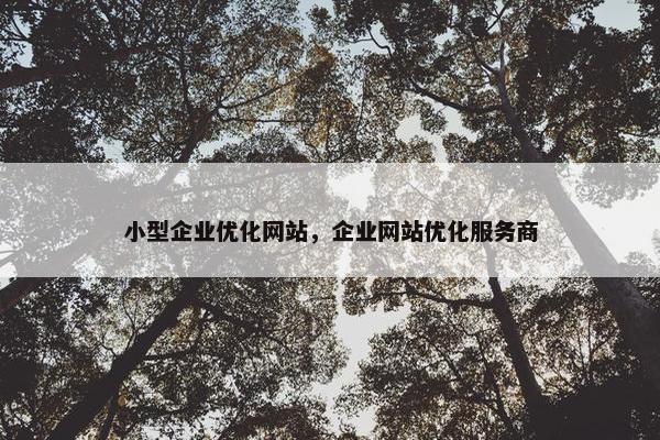 小型企业优化网站，企业网站优化服务商