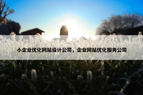 小企业优化网站设计公司，企业网站优化服务公司