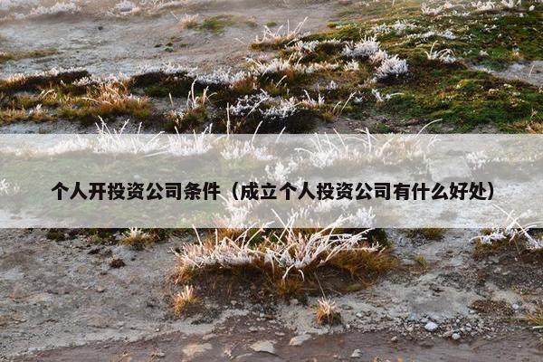 个人开投资公司条件（成立个人投资公司有什么好处）