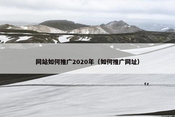 网站如何推广2020年（如何推广网址）
