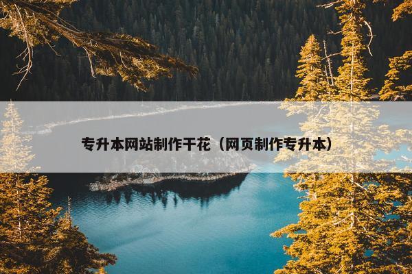 专升本网站制作干花（网页制作专升本）