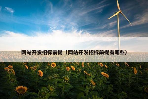 网站开发招标前提（网站开发招标前提有哪些）