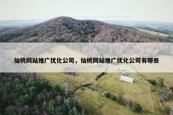 仙桃网站推广优化公司，仙桃网站推广优化公司有哪些