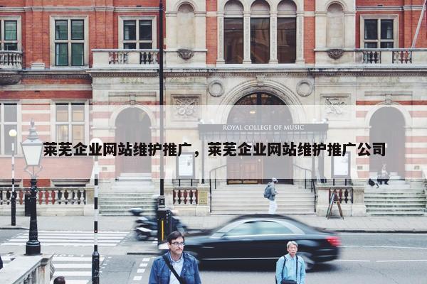 莱芜企业网站维护推广，莱芜企业网站维护推广公司