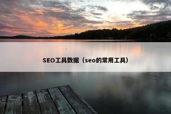 SEO工具数据（seo的常用工具）