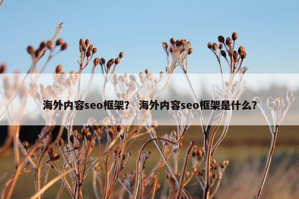 海外内容seo框架？ 海外内容seo框架是什么？