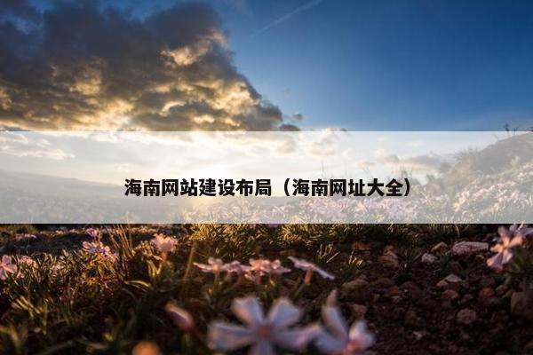 海南网站建设布局（海南网址大全）