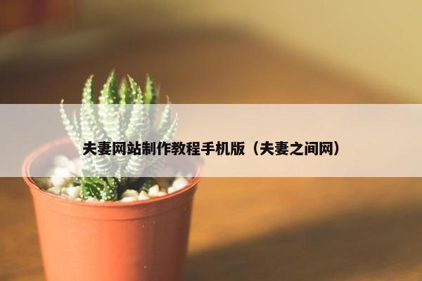 夫妻网站制作教程手机版（夫妻之间网）