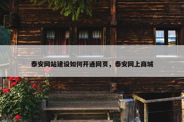 泰安网站建设如何开通网页，泰安网上商城
