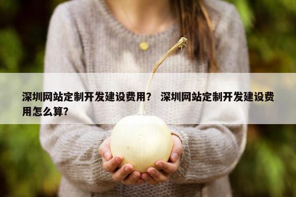 深圳网站定制开发建设费用？ 深圳网站定制开发建设费用怎么算？