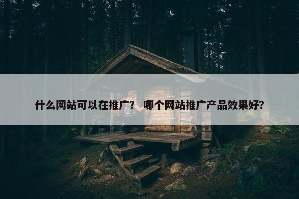 什么网站可以在推广？ 哪个网站推广产品效果好？