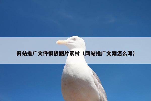 网站推广文件模板图片素材（网站推广文案怎么写）