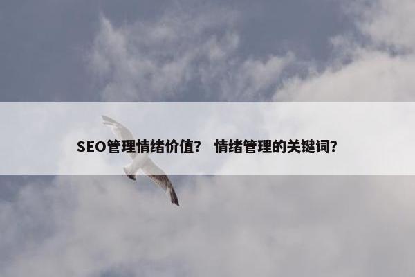SEO管理情绪价值？ 情绪管理的关键词？