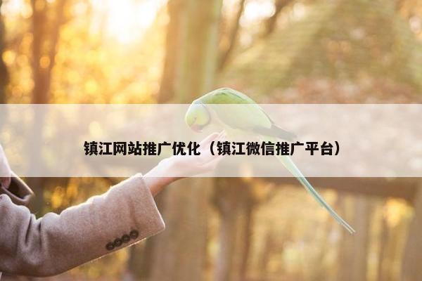 镇江网站推广优化（镇江微信推广平台）