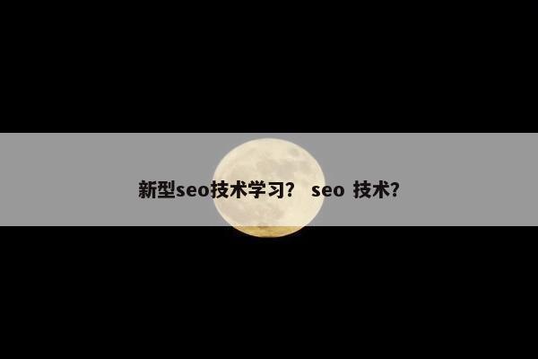 新型seo技术学习？ seo 技术？