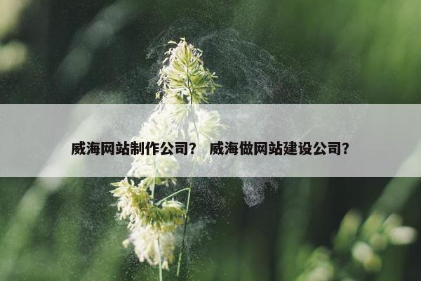 威海网站制作公司？ 威海做网站建设公司？