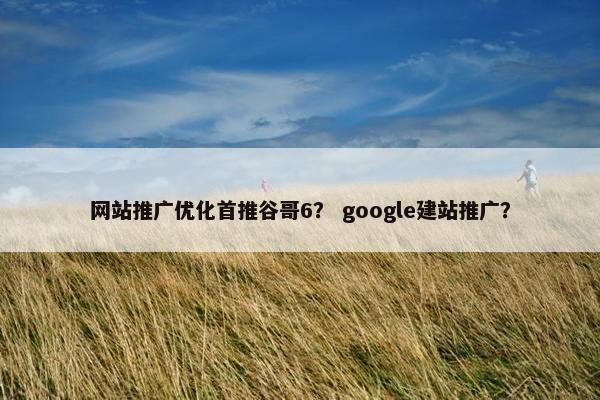 网站推广优化首推谷哥6？ google建站推广？
