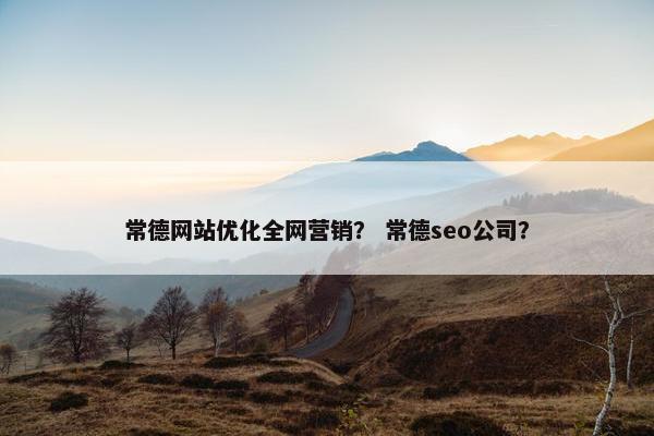 常德网站优化全网营销？ 常德seo公司？