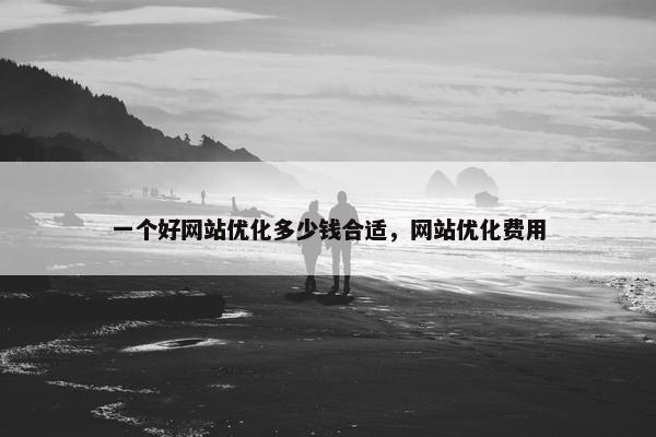 一个好网站优化多少钱合适，网站优化费用