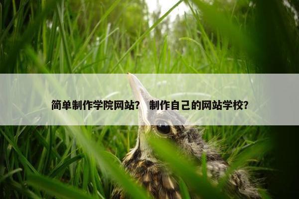 简单制作学院网站？ 制作自己的网站学校？