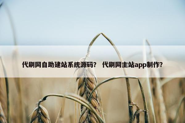 代刷网自助建站系统源码？ 代刷网主站app制作？