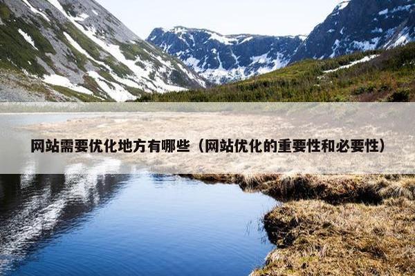网站需要优化地方有哪些（网站优化的重要性和必要性）