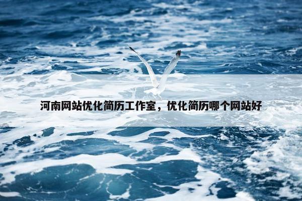 河南网站优化简历工作室，优化简历哪个网站好