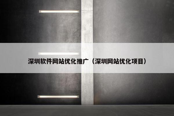 深圳软件网站优化推广（深圳网站优化项目）
