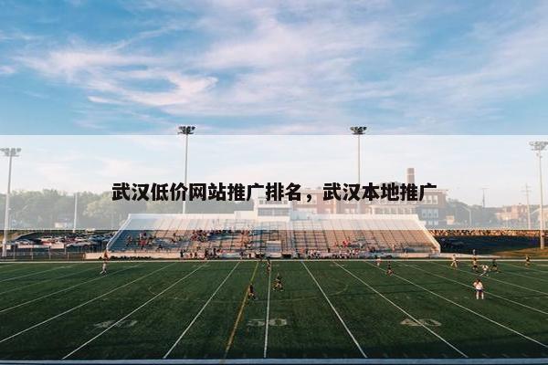 武汉低价网站推广排名，武汉本地推广