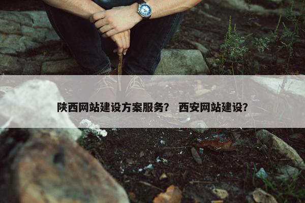 陕西网站建设方案服务？ 西安网站建设？