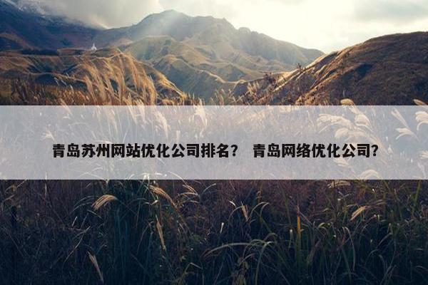 青岛苏州网站优化公司排名？ 青岛网络优化公司？