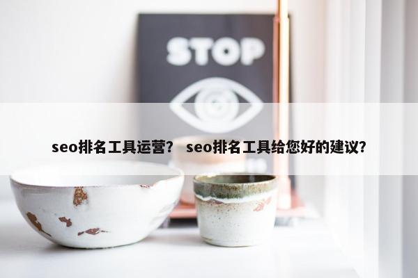 seo排名工具运营？ seo排名工具给您好的建议？