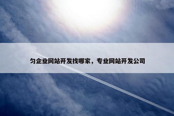 匀企业网站开发找哪家，专业网站开发公司