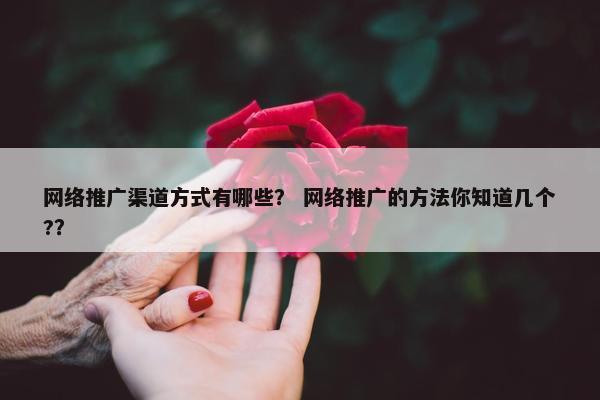 网络推广渠道方式有哪些？ 网络推广的方法你知道几个?？