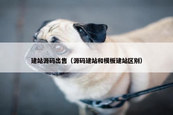 建站源码出售（源码建站和模板建站区别）