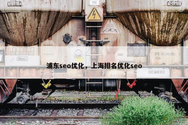 浦东seo优化，上海排名优化seo