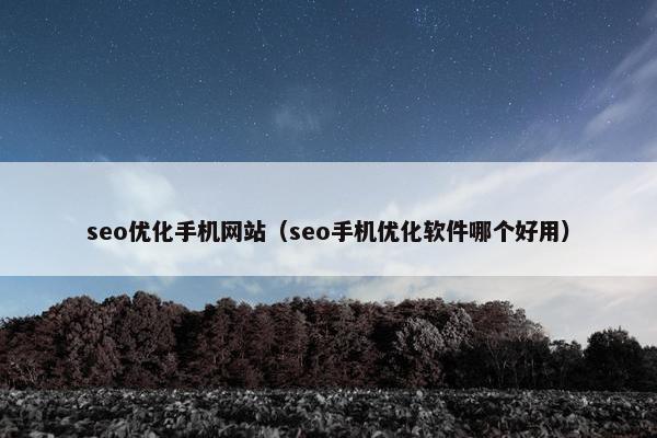 seo优化手机网站（seo手机优化软件哪个好用）