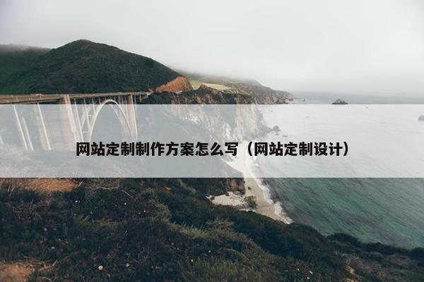 网站定制制作方案怎么写（网站定制设计）