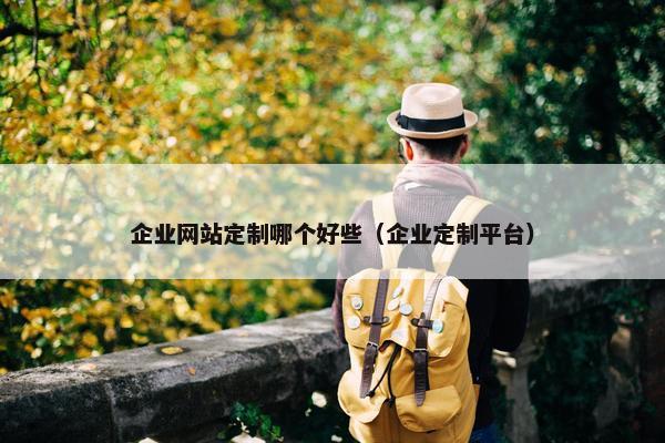 企业网站定制哪个好些（企业定制平台）
