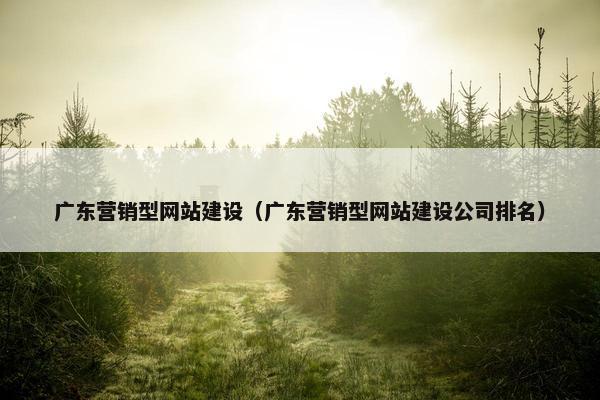 广东营销型网站建设（广东营销型网站建设公司排名）