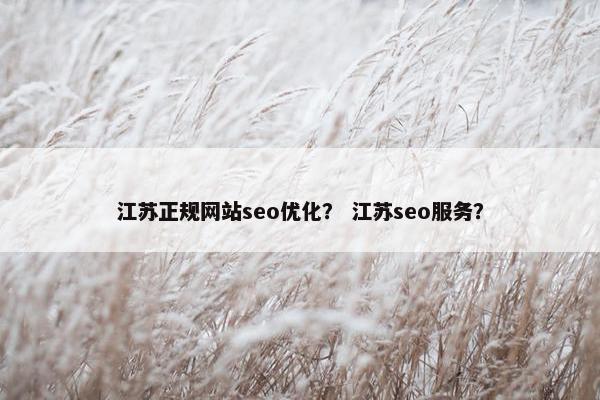 江苏正规网站seo优化？ 江苏seo服务？