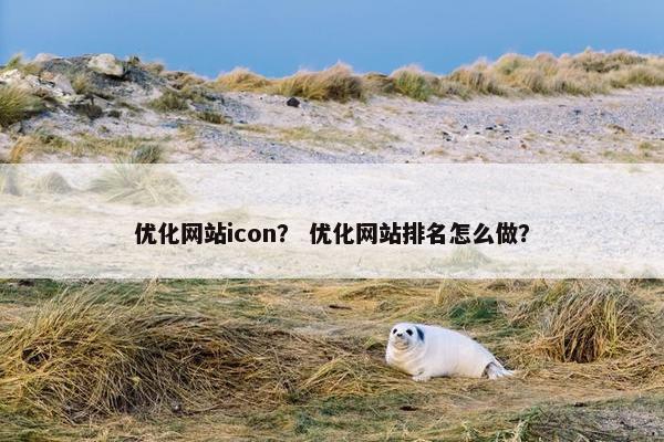 优化网站icon？ 优化网站排名怎么做？