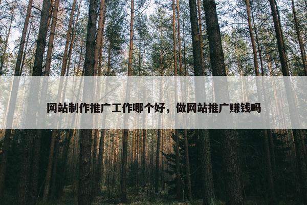 网站制作推广工作哪个好，做网站推广赚钱吗