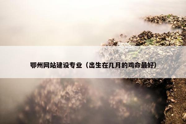 鄂州网站建设专业（出生在几月的鸡命最好）