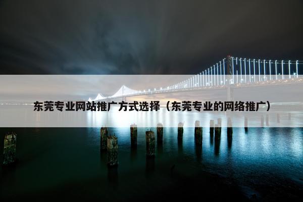 东莞专业网站推广方式选择（东莞专业的网络推广）