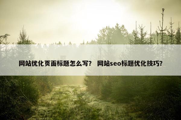 网站优化页面标题怎么写？ 网站seo标题优化技巧？
